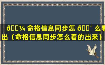 🌼 命格信息同步怎 🐴 么看的出（命格信息同步怎么看的出来）